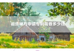 祖传秘方申请专利需要多少钱