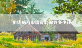 祖传秘方申请专利需要多少钱