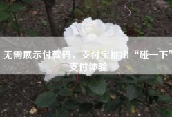 无需展示付款码，支付宝推出“碰一下”支付体验