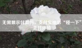 无需展示付款码，支付宝推出“碰一下”支付体验
