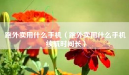 跑外卖用什么手机（跑外卖用什么手机续航时间长）