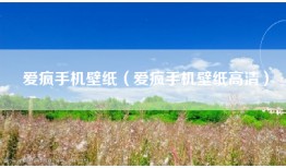 爱疯手机壁纸（爱疯手机壁纸高清）