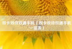 双卡双待双通手机（双卡双待双通手机一览表）