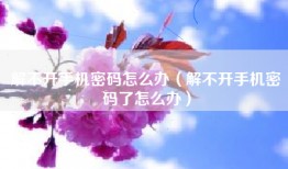 解不开手机密码怎么办（解不开手机密码了怎么办）