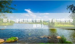 双十一手机价格（双十一手机价格会便宜吗）