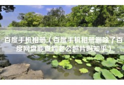 百度手机相册（百度手机相册删除了百度网盘能查到老公照片吗知乎）