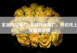 芜湖网站推广_芜湖网站推广，开启线上发展新征程