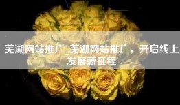 芜湖网站推广_芜湖网站推广，开启线上发展新征程
