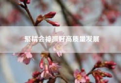 聚精会神抓好高质量发展