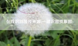 在线识别图片来源(一键识图找原图)