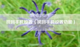 找回手机设置（找回手机设置功能）
