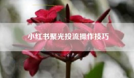 小红书聚光投流操作技巧