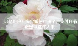 涉9亿用户！淘宝微信互通了，支付环节正密谋这件大事