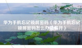 华为手机忘记锁屏密码（华为手机忘记锁屏密码怎么办法解开）