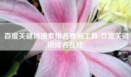 百度关键词搜索排名查询工具(百度关键词排名在线)