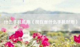 什么手机能用（现在是什么手机好用）