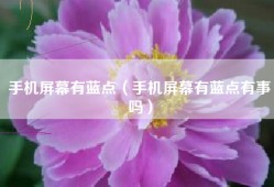 手机屏幕有蓝点（手机屏幕有蓝点有事吗）