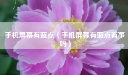 手机屏幕有蓝点（手机屏幕有蓝点有事吗）