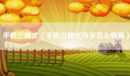 手机三段式（手机三段式开关怎么恢复）