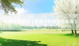 极速手机管家（极速手机管家专业版）