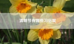 清明节有哪些习俗呢