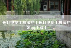 长虹电视手机遥控（长虹电视手机遥控器app下载）