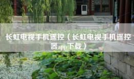 长虹电视手机遥控（长虹电视手机遥控器app下载）