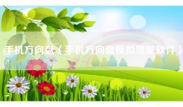 手机方向盘（手机方向盘模拟驾驶软件）