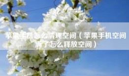 苹果手机怎么清理空间（苹果手机空间满了怎么释放空间）