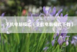 手机电脑模式（手机电脑模式下载）