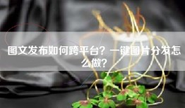 图文发布如何跨平台？一键图片分发怎么做？
