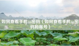 如何查看手机qq密码（如何查看手机qq密码和账号）