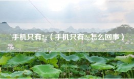 手机只有2g（手机只有2g怎么回事）