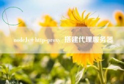 nodeJs+http-proxy  搭建代理服务器