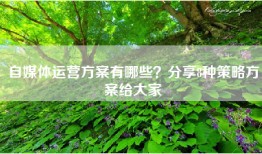 自媒体运营方案有哪些？分享8种策略方案给大家
