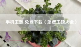 手机主题 免费下载（免费主题大全）