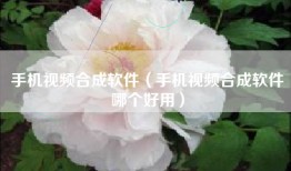 手机视频合成软件（手机视频合成软件哪个好用）