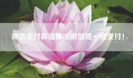 微信支付辟谣推出微信碰一碰支付！