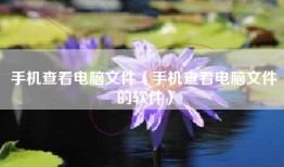 手机查看电脑文件（手机查看电脑文件的软件）
