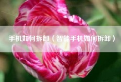 手机如何拆卸（智能手机如何拆卸）