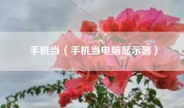 手机当（手机当电脑显示器）
