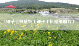 锤子手机壁纸（锤子手机壁纸图片）