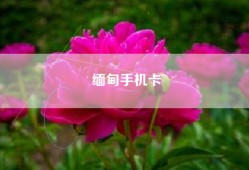 缅甸手机卡