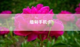 缅甸手机卡