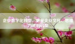 企业数字化转型，更是企业文化、思维方式的转型