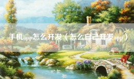 手机app怎么开发（怎么自己开发app）