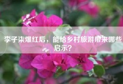 李子柒爆红后，能给乡村旅游带来哪些启示？