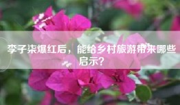 李子柒爆红后，能给乡村旅游带来哪些启示？