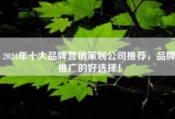 2024年十大品牌营销策划公司推荐，品牌推广的好选择！