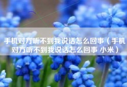 手机对方听不到我说话怎么回事（手机对方听不到我说话怎么回事 小米）
